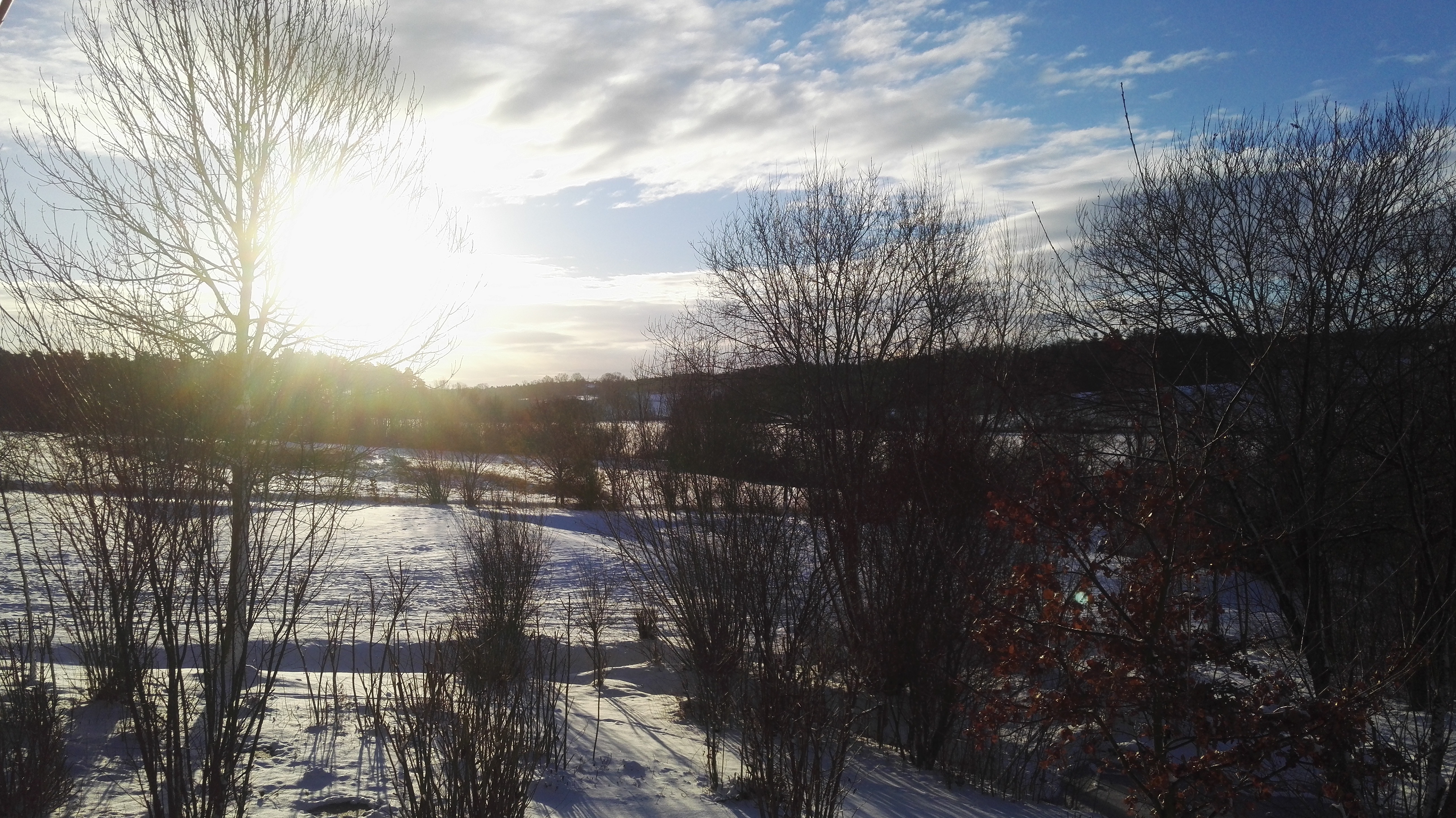 Winter1